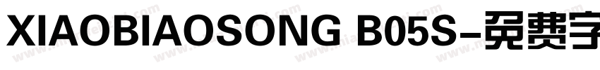 XIAOBIAOSONG B05S字体转换